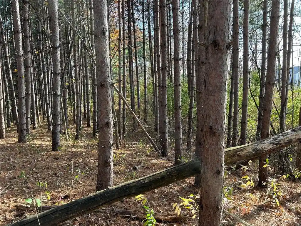 Photo 4 of Land for sale at 1888 80Th Street Street, Somerset, WI 54025 | MLS# 6620079 | Listing updated on 2026-06-15