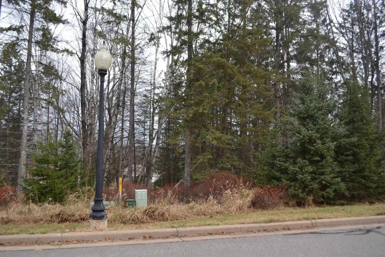Homes for sale in Wausau, WI | Lot #24 Deer Tail Lane Lane, Wausau, WI 54401 | MLS# 22405544