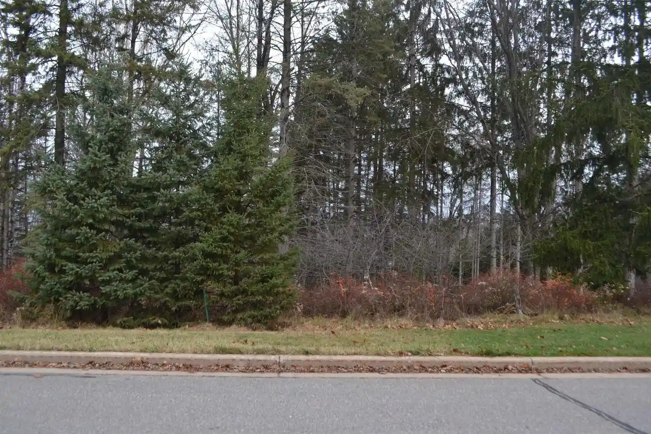 Homes for sale in Wausau, WI | Lot #24 Deer Tail Lane Lane, Wausau, WI 54401 | MLS# 22405544