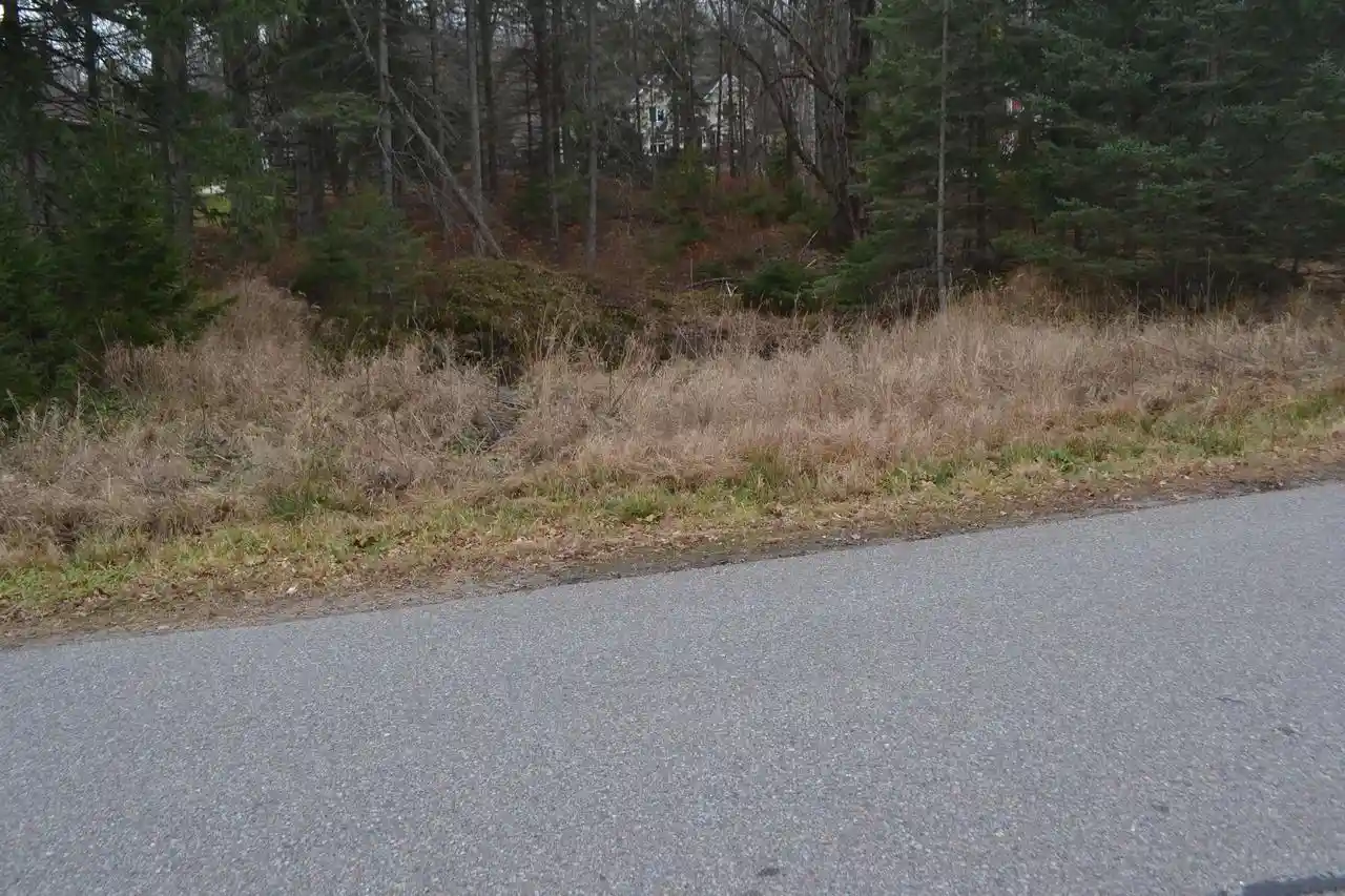 Homes for sale in Wausau, WI | Lot #24 Deer Tail Lane Lane, Wausau, WI 54401 | MLS# 22405544