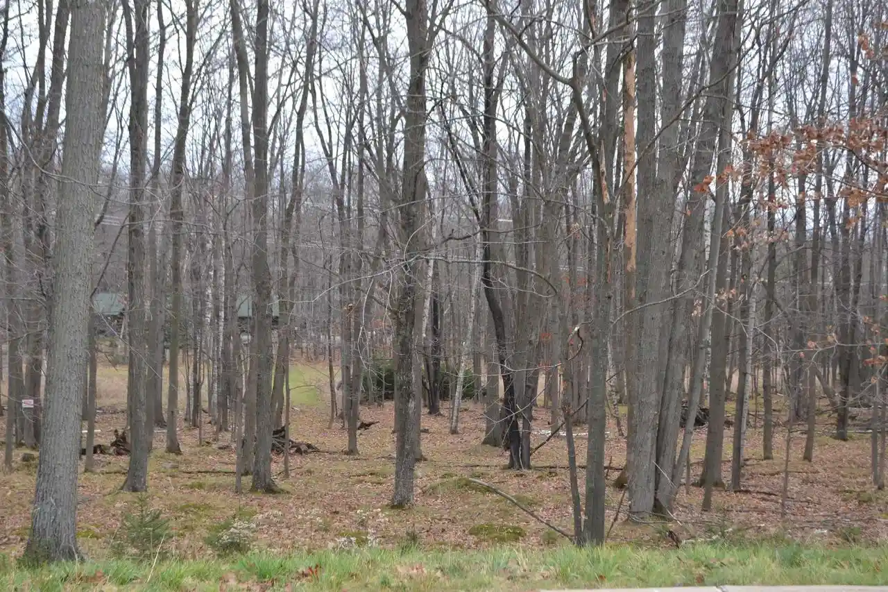 Homes for sale in Wausau, WI | Lot #33 Buck Wood Lane Lane, Wausau, WI 54401 | MLS# 22405546