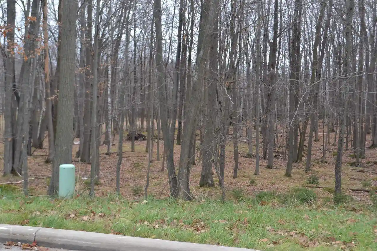 Homes for sale in Wausau, WI | Lot #33 Buck Wood Lane Lane, Wausau, WI 54401 | MLS# 22405546