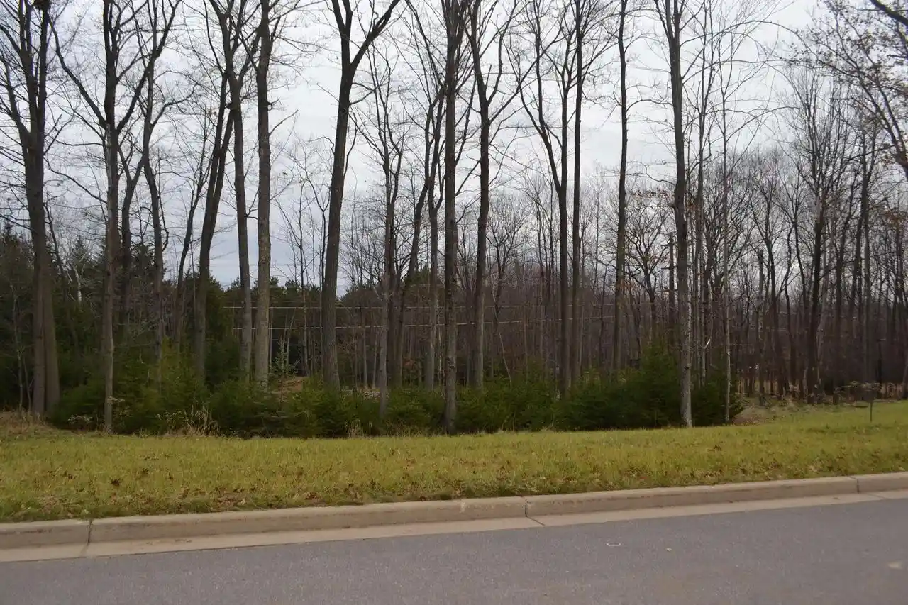 Homes for sale in Wausau, WI | Lot #35 Buck Wood Lane Lane, Wausau, WI 54401 | MLS# 22405550