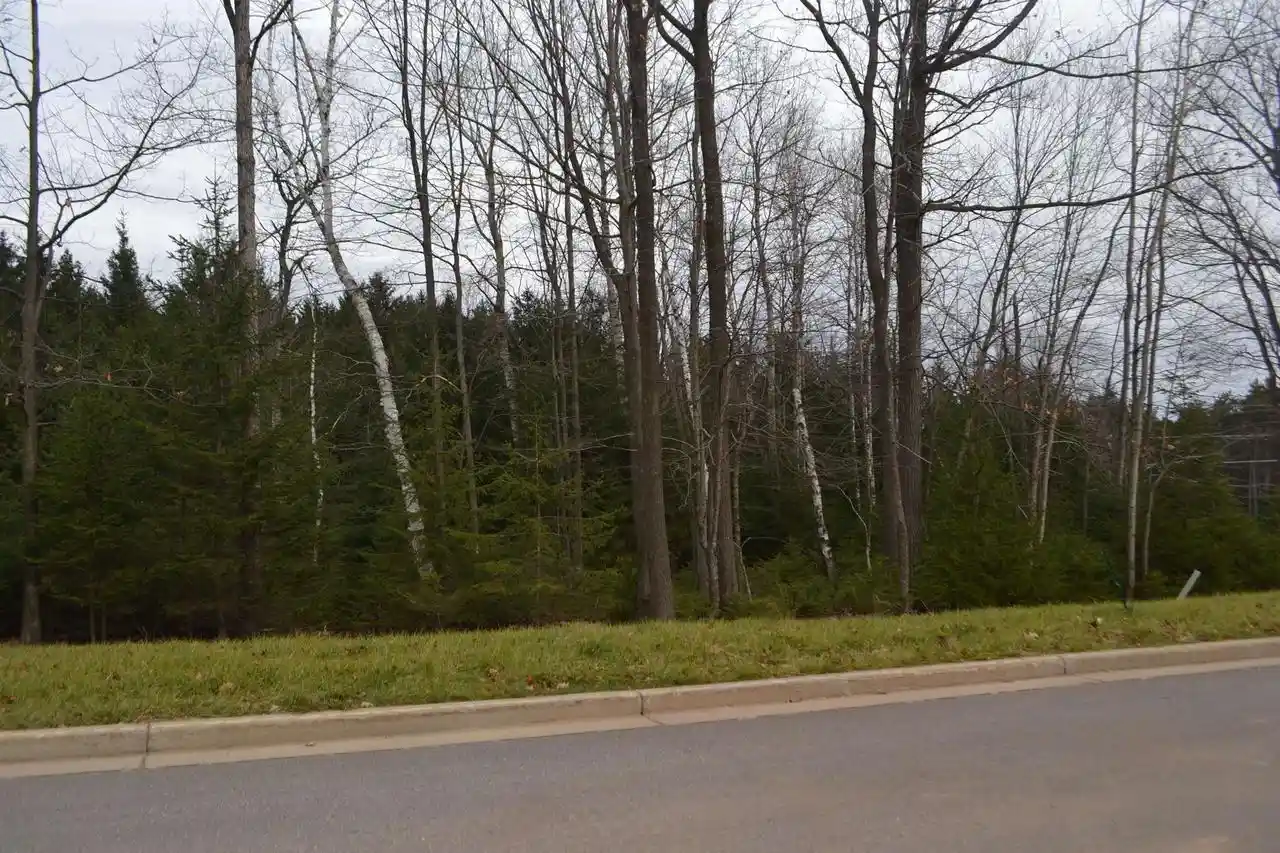 Homes for sale in Wausau, WI | Lot #35 Buck Wood Lane Lane, Wausau, WI 54401 | MLS# 22405550