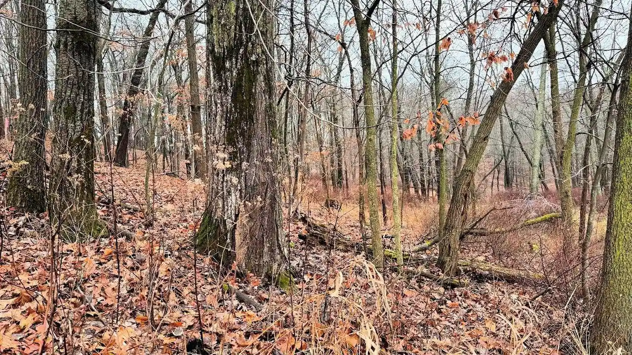 37th image of Lots 1 2 County Road A, Wisconsin Dells, WI 53965 | MLS# 1990791