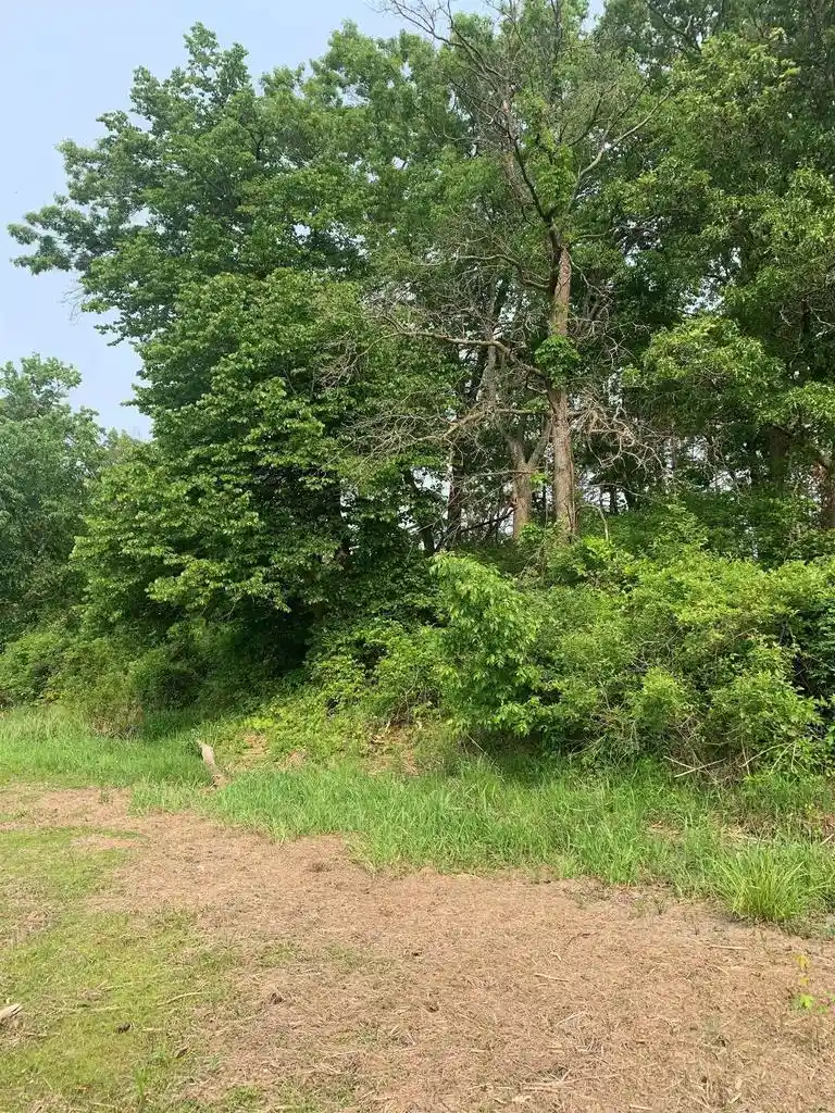 Homes for sale in Spring Green, WI | 122 Ac Flowage Road Road, Spring Green, WI 53588 | MLS# 1992408