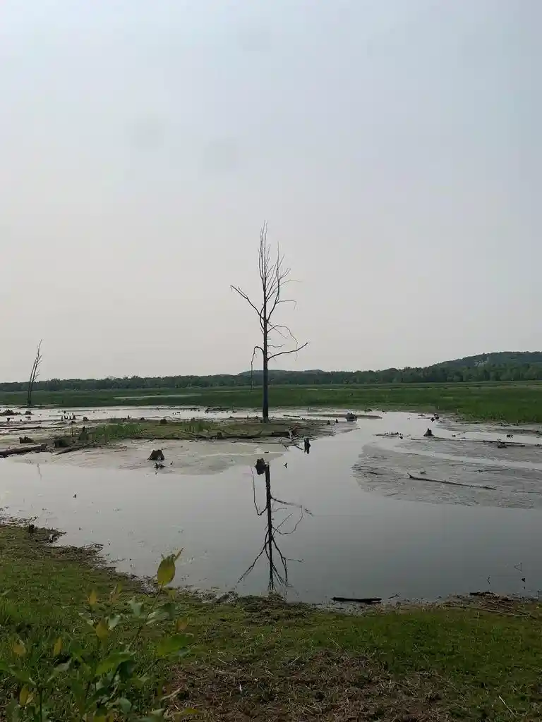 Homes for sale in Spring Green, WI | 122 Ac Flowage Road Road, Spring Green, WI 53588 | MLS# 1992408