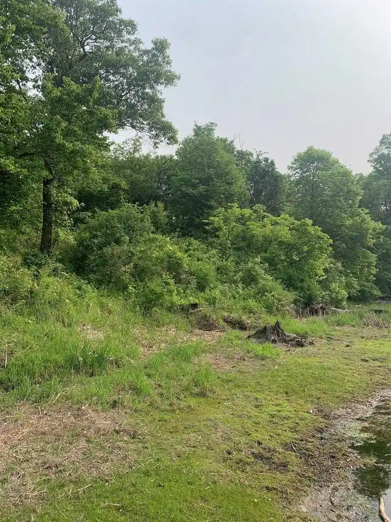 Homes for sale in Spring Green, WI | 122 Ac Flowage Road Road, Spring Green, WI 53588 | MLS# 1992408