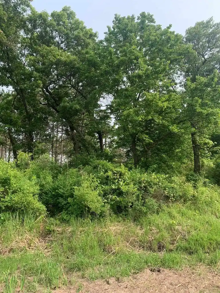 Homes for sale in Spring Green, WI | 122 Ac Flowage Road Road, Spring Green, WI 53588 | MLS# 1992408