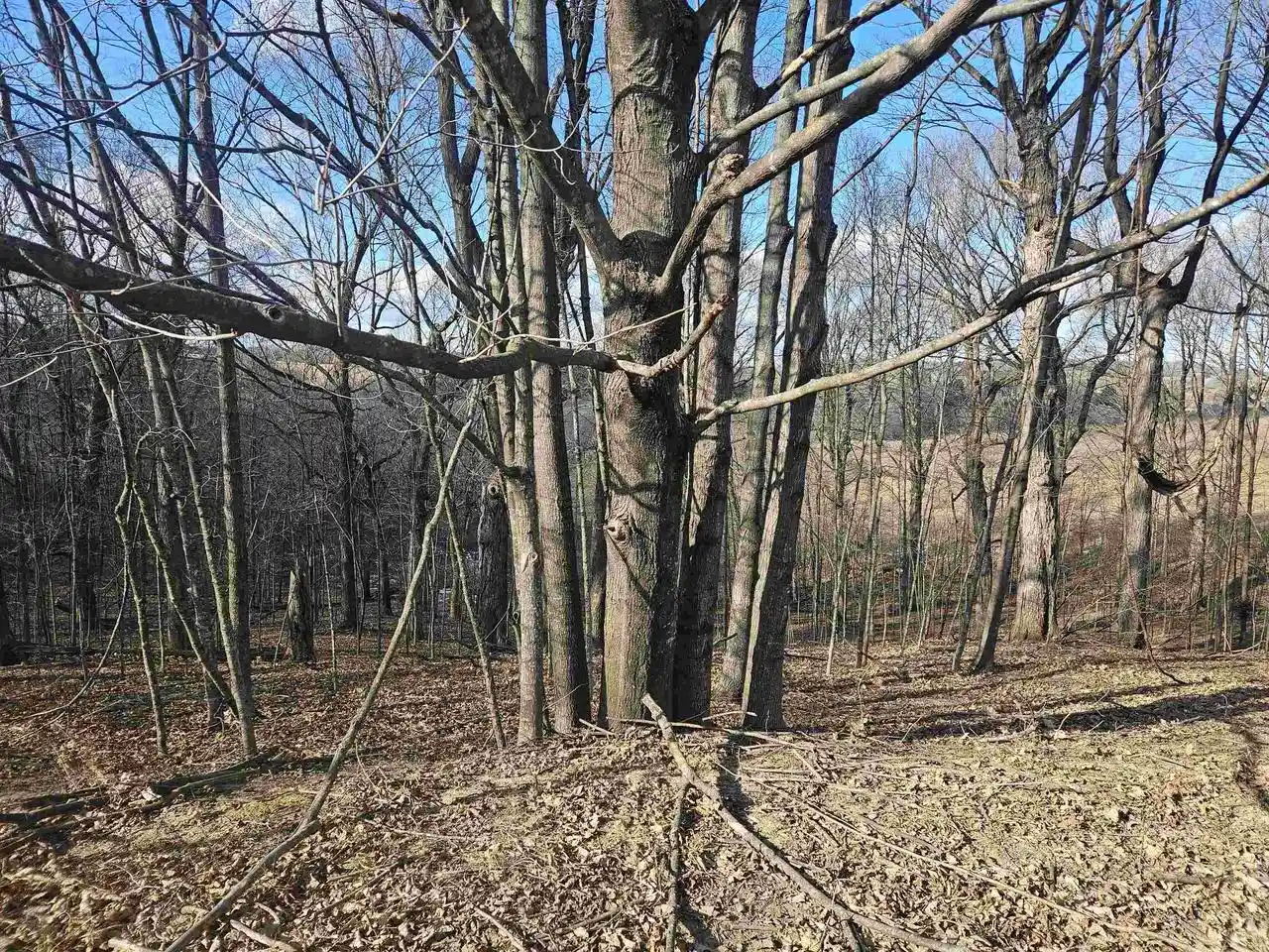 Homes for sale in La Valle, WI | Lot 954 Hidden Springs Court Court, La Valle, WI 53941 | MLS# 1992551
