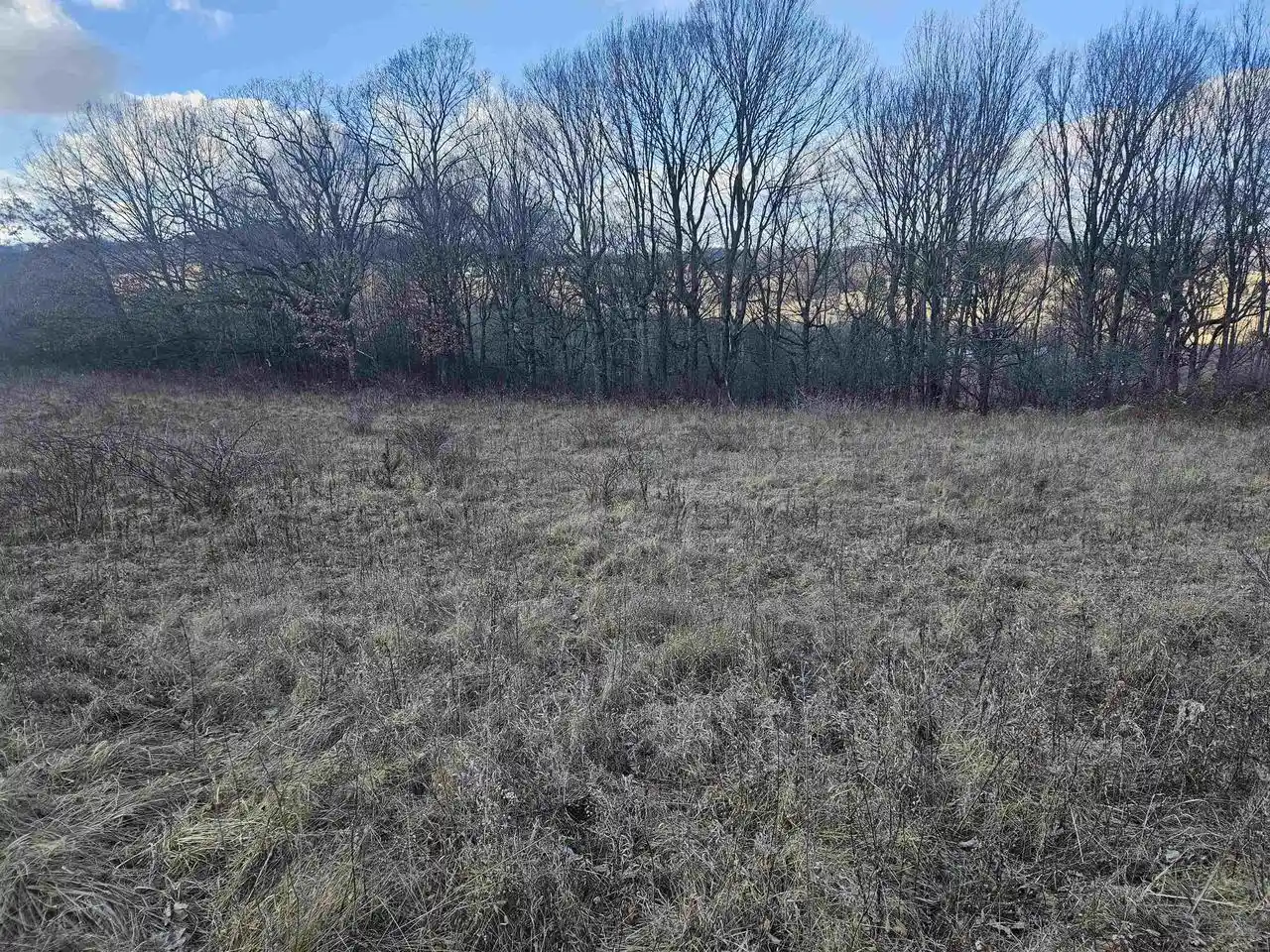 Homes for sale in La Valle, WI | Lot 954 Hidden Springs Court Court, La Valle, WI 53941 | MLS# 1992551