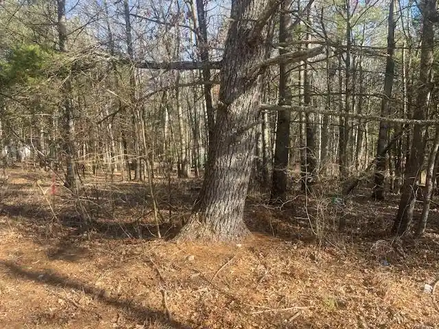 Photo 4 of Land for sale at N1628 Sundance Lane Lane, Keshena, WI 54135 | MLS# 50303271 | Listing updated on 2026-09-03