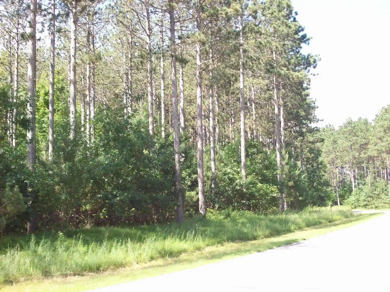 1st image of Cor Of 7th Porter Road Road, Nekoosa, WI 54457 | MLS# 1992893