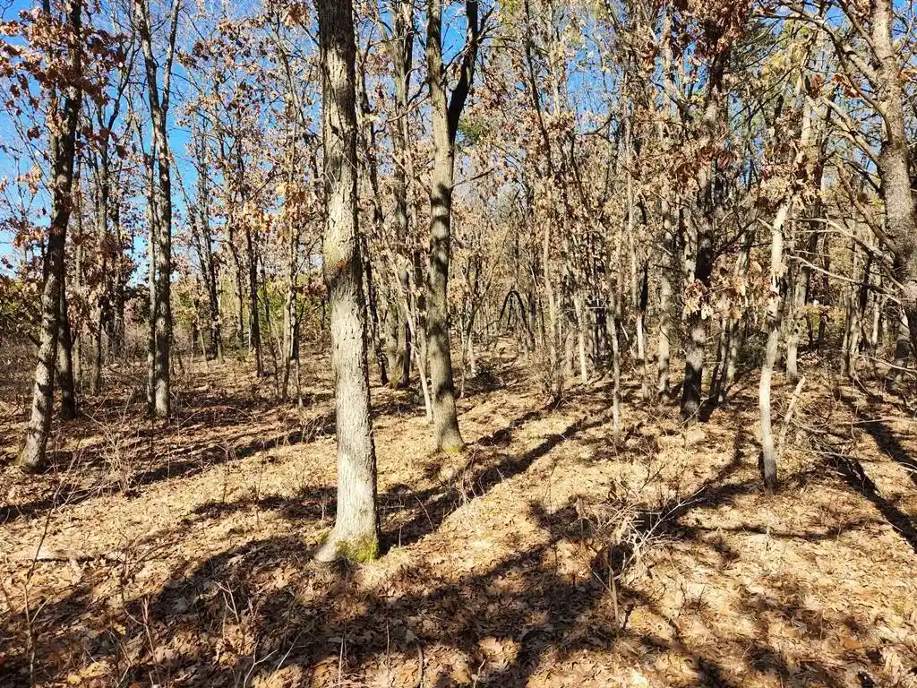 Homes for sale in Lyndon Station, WI | Koval Road Road, Lyndon Station, WI 53944 | MLS# 22500378