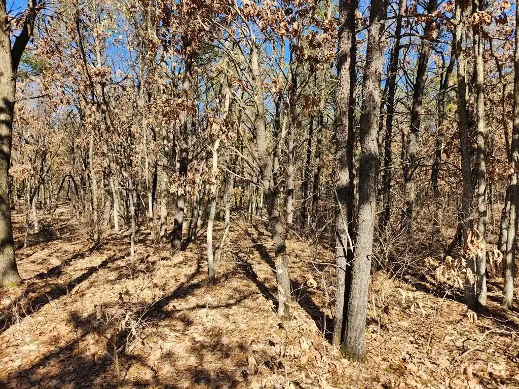 Homes for sale in Lyndon Station, WI | Koval Road Road, Lyndon Station, WI 53944 | MLS# 22500378