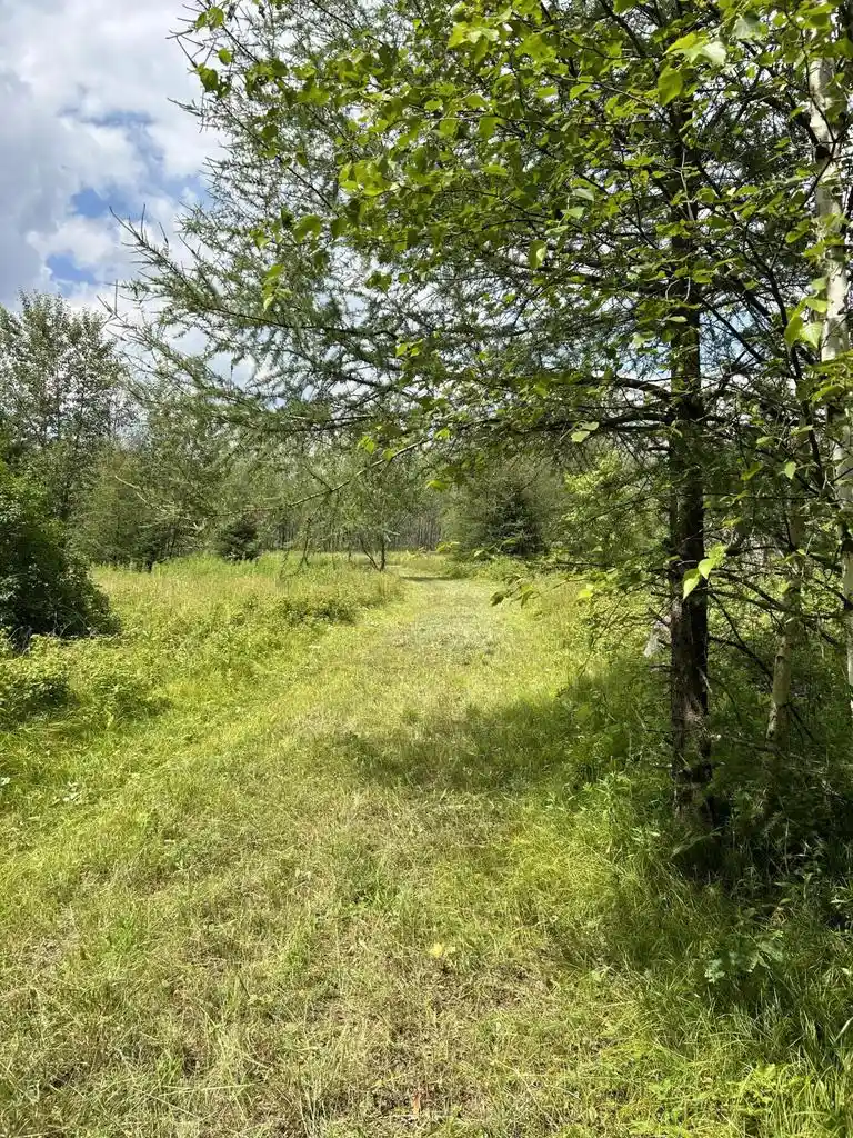 1st image of Lt44 Big Cub Trail Trail, Laona, WI 54541 | MLS# 1906384