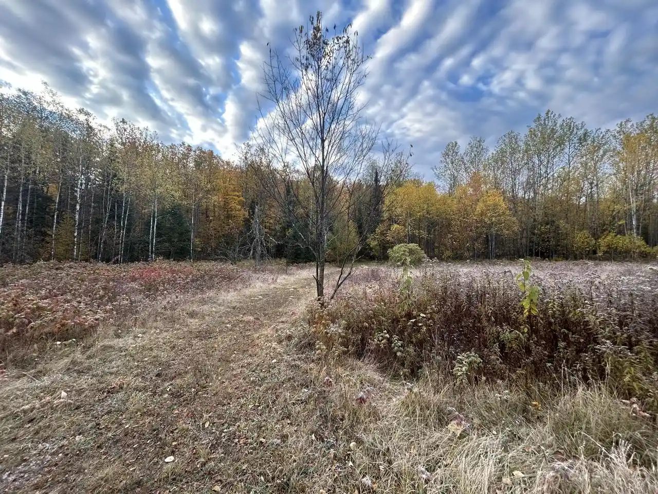 2nd image of Lt44 Big Cub Trail Trail, Laona, WI 54541 | MLS# 1906384
