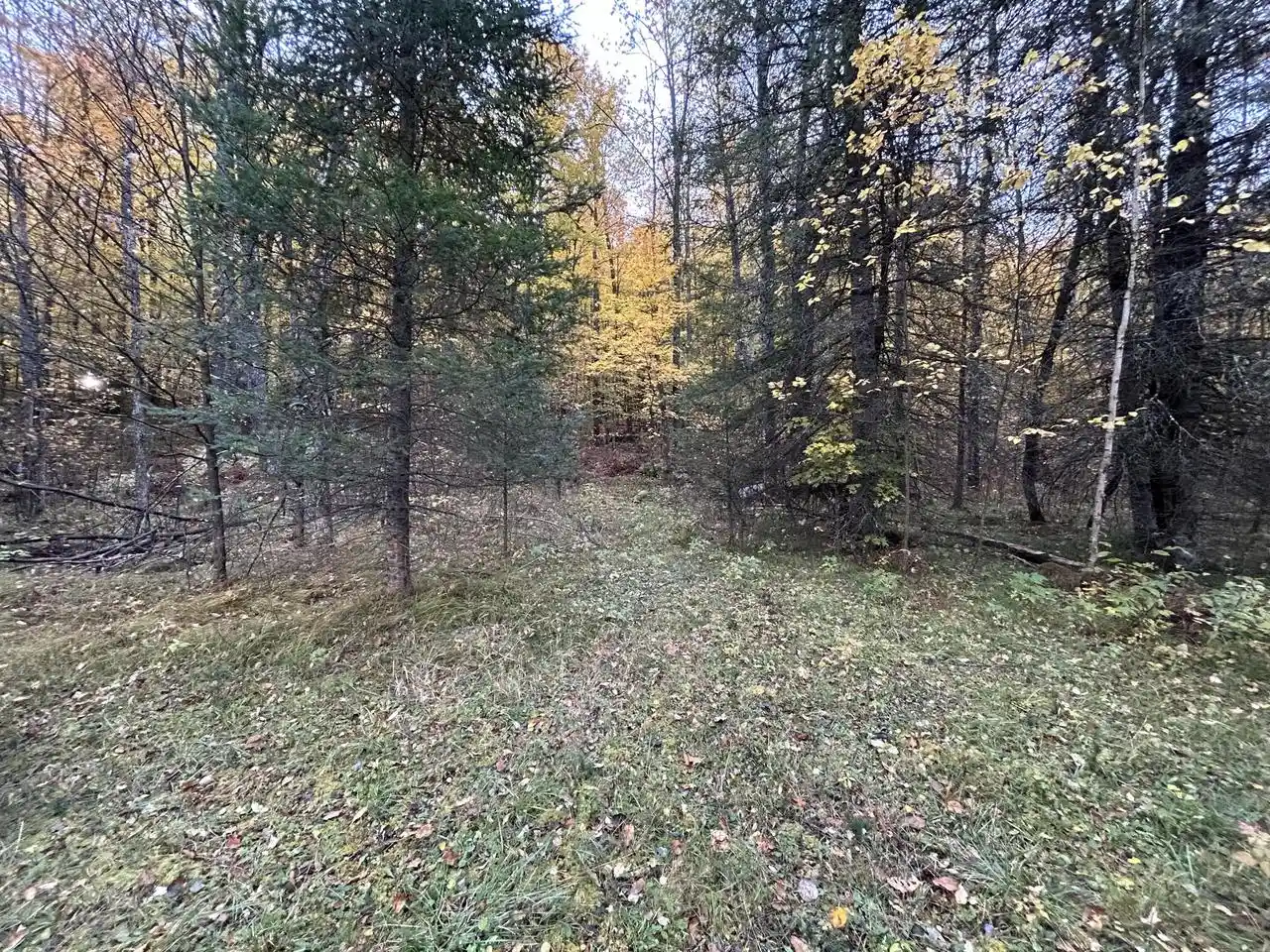 3rd image of Lt44 Big Cub Trail Trail, Laona, WI 54541 | MLS# 1906384