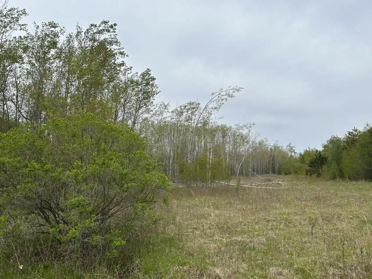 4th image of Lt44 Big Cub Trail Trail, Laona, WI 54541 | MLS# 1906384