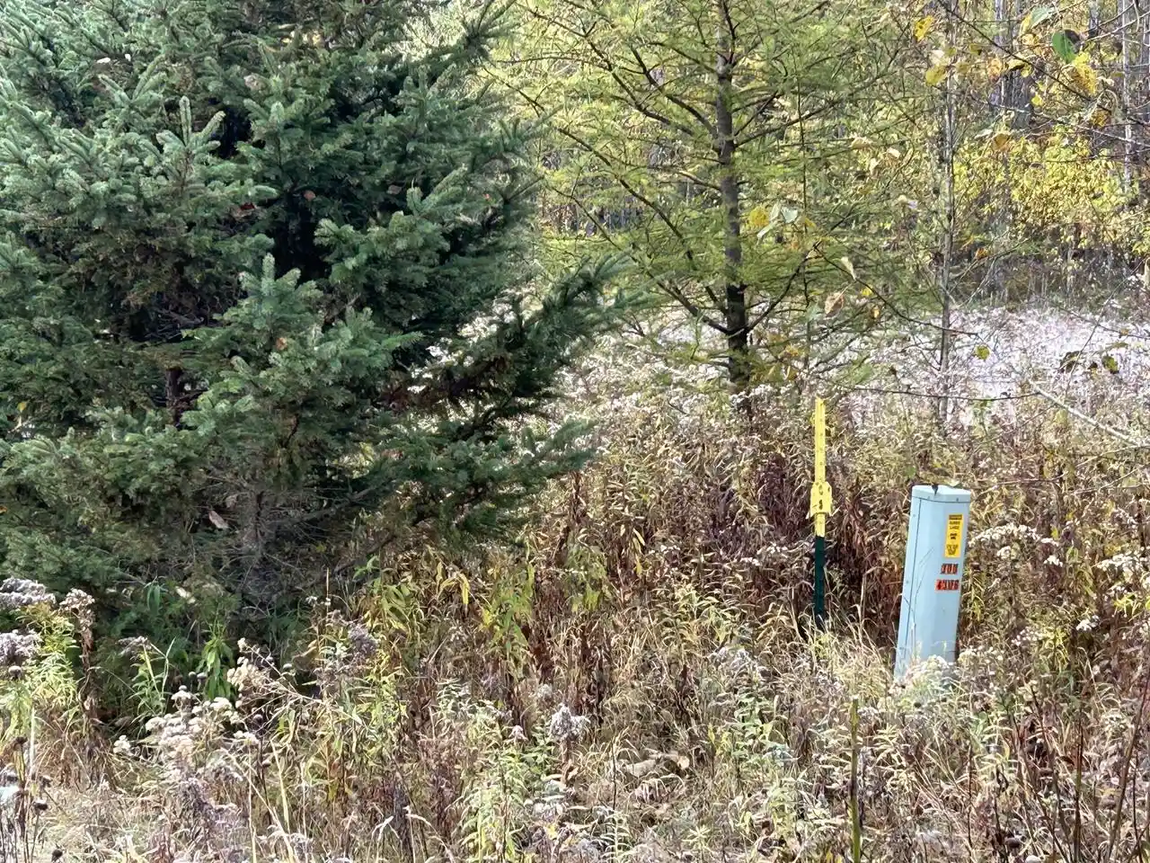 14th image of Lt44 Big Cub Trail Trail, Laona, WI 54541 | MLS# 1906384