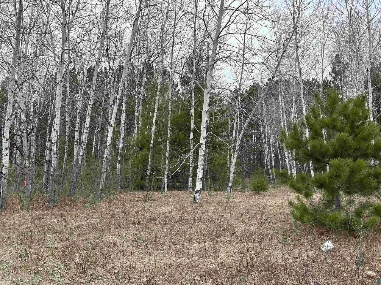 Homes for sale in Iron River, WI | Lot 3 North Shore Dr Dr, Iron River, WI 54847 | MLS# 6117900