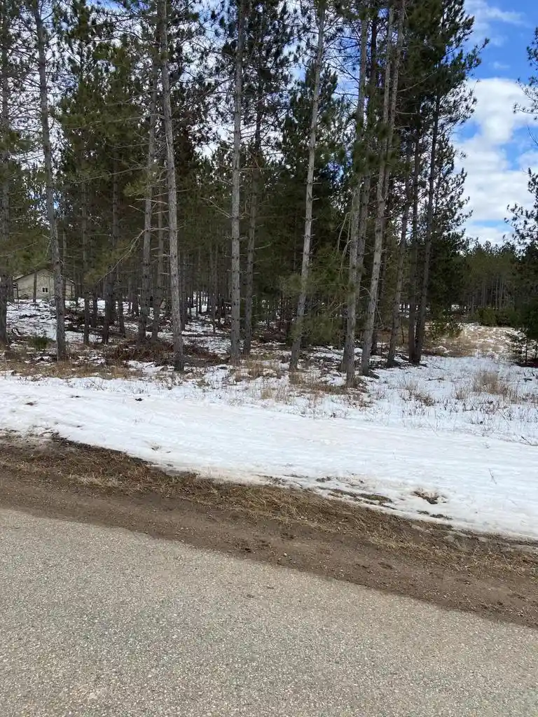 Homes for sale in Dunbar, WI | Lt2 Twin Lake Road Road, Dunbar, WI 54119 | MLS# 1907964