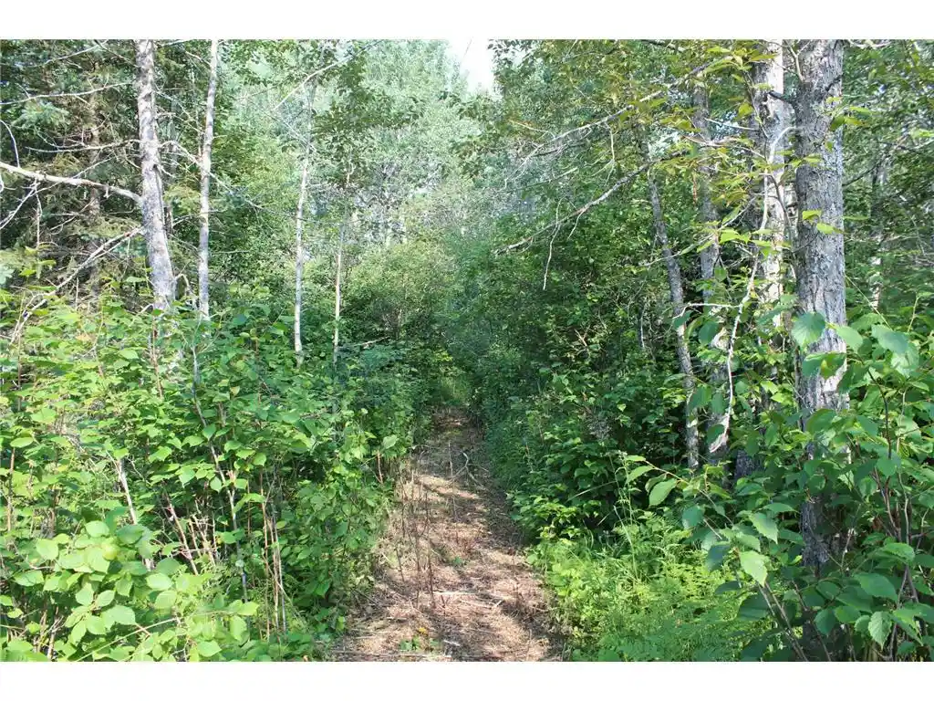 3rd image of Lot 1 E Camp Amnicon Road Road, South Range, WI 54874 | MLS# 6683719
