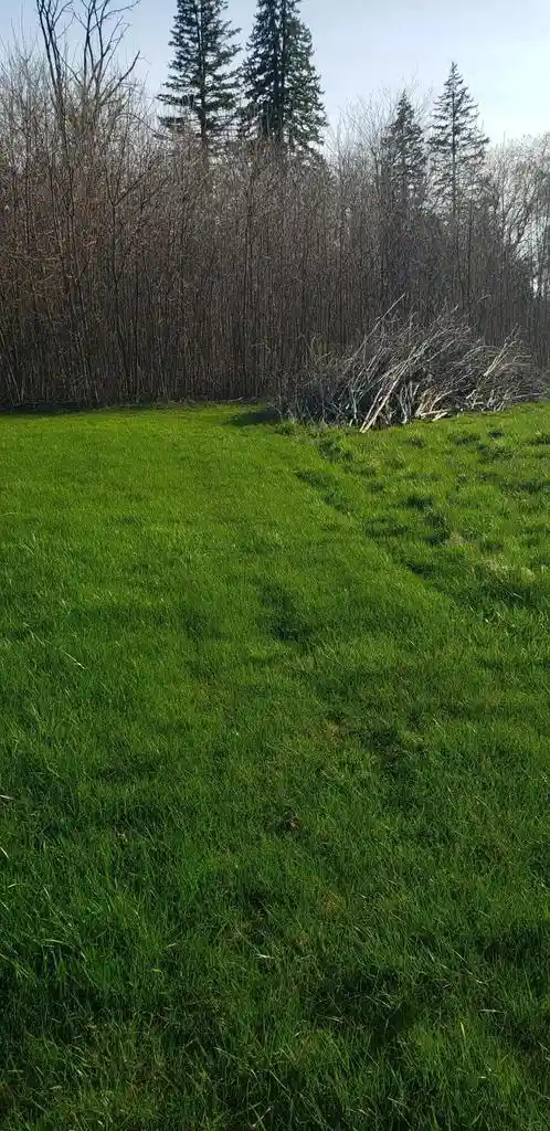 Photo 3 of Land for sale at Lt5 Woodlake Court Court, Mount Pleasant, WI 53403 | MLS# 1915118 | Listing updated on 2026-06-24