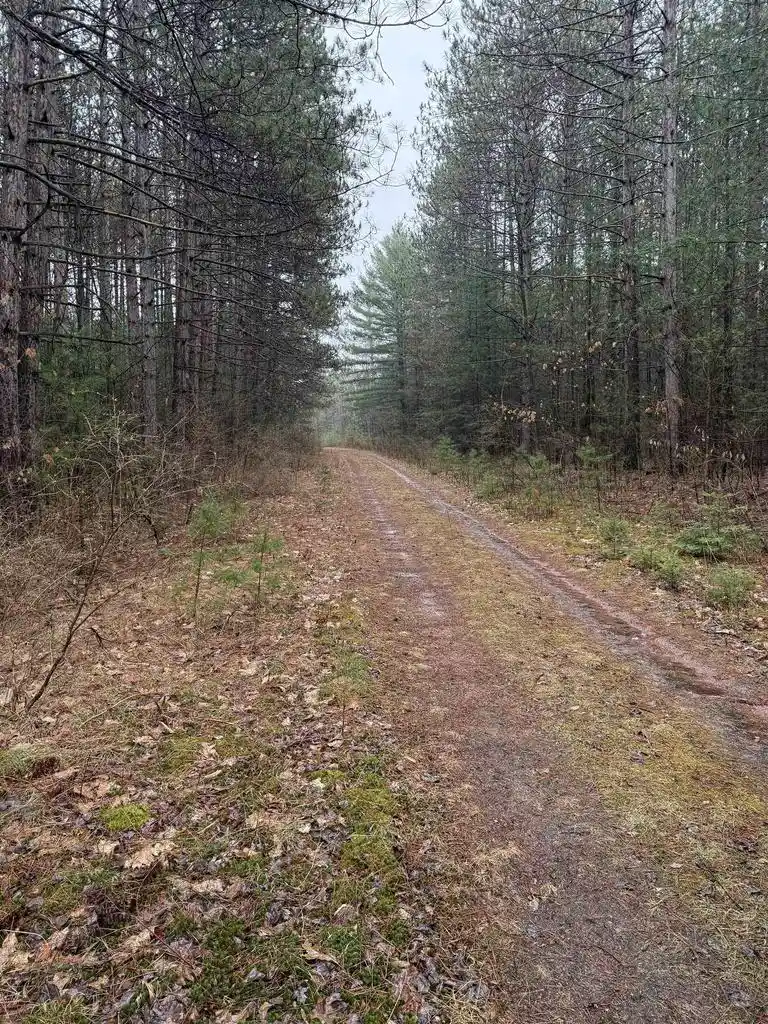 Homes for sale in Merrill, WI | Lot 4 N 12th Avenue Avenue, Merrill, WI 54452 | MLS# 22501585