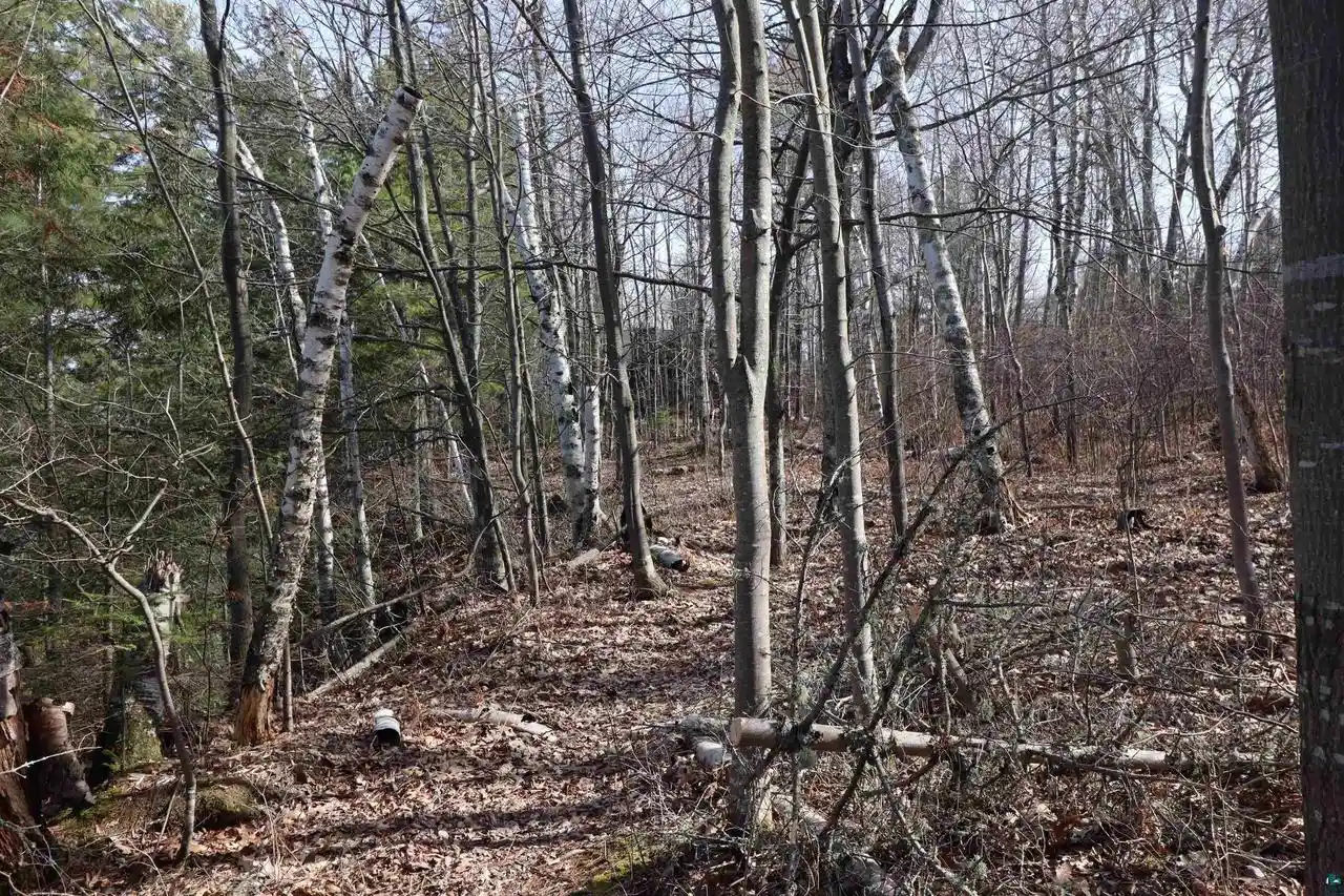 Photo 3 of Land for sale at 83Xxx State Hwy 13, Bayfield, WI 54814 | MLS# 6119017 | Listing updated on 2026-09-04