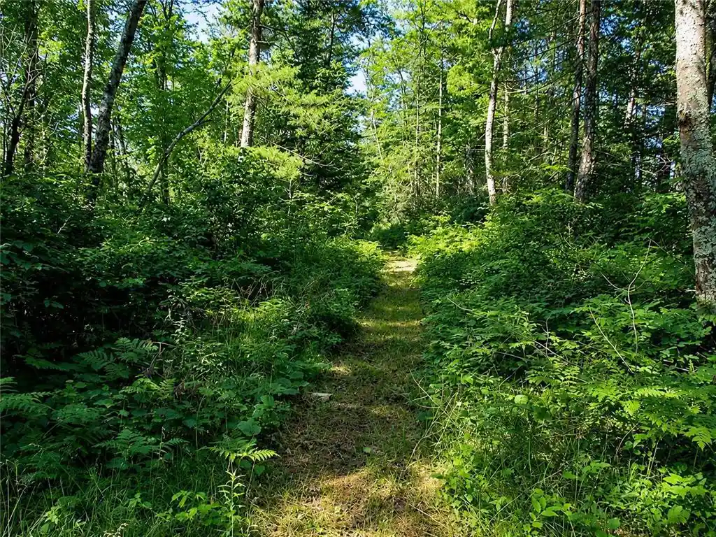 Photo 3 of Land for sale at Lot 2 State Rd 27/70, Couderay, WI 54828 | MLS# 6716093 | Listing updated on 2026-07-24
