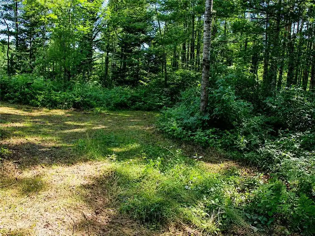 Photo 4 of Land for sale at Lot 2 State Rd 27/70, Couderay, WI 54828 | MLS# 6716093 | Listing updated on 2026-07-24