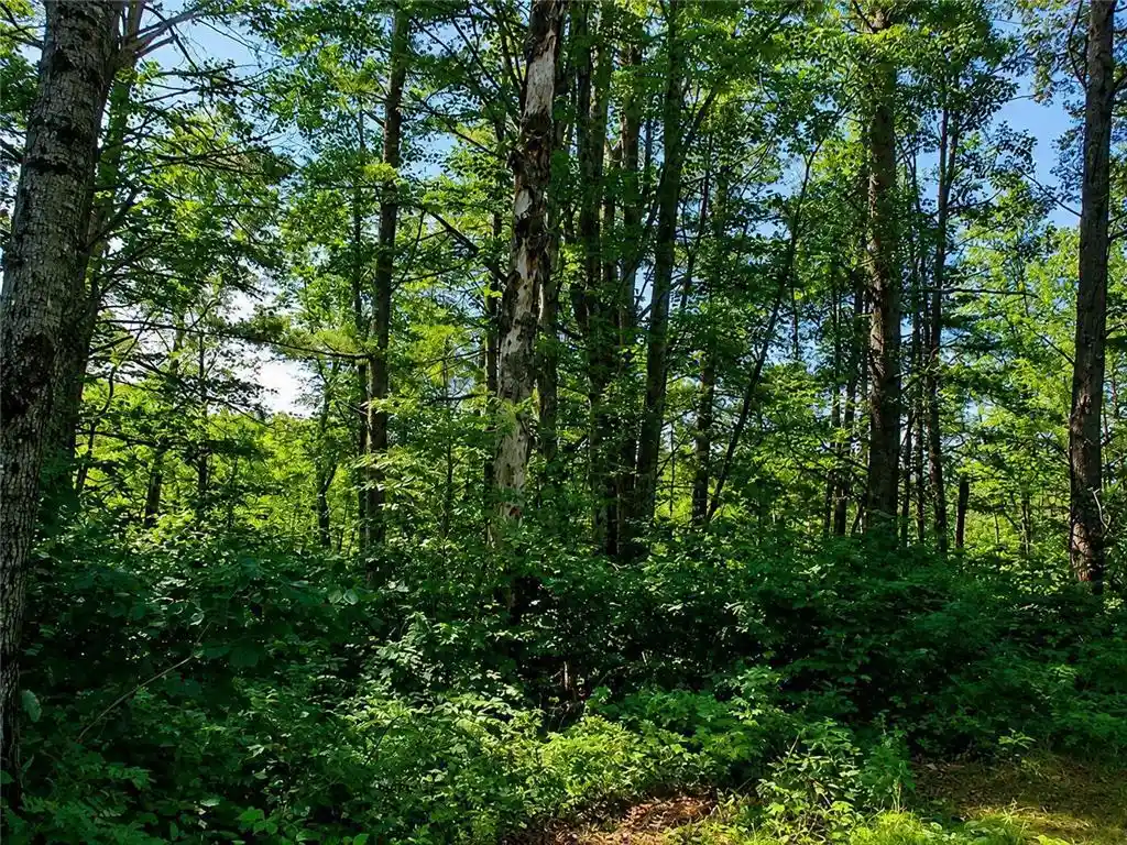 6th image of Lot 2 State Road 27/70, Couderay, WI 54828 | MLS# 6716093