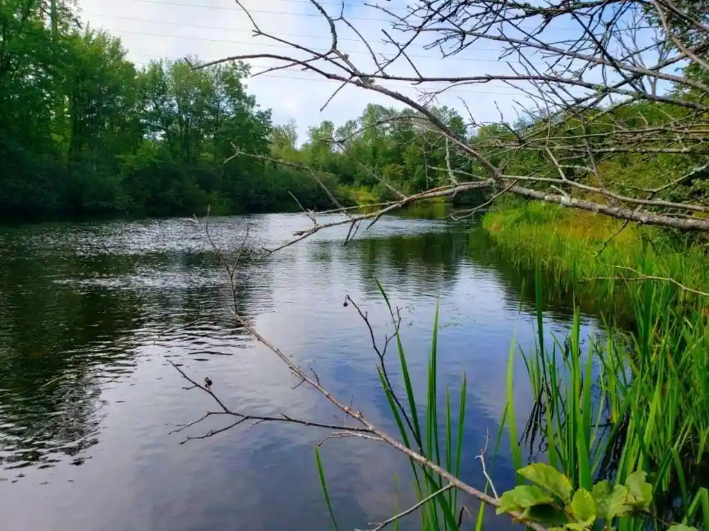 Photo 1 of Land for sale at Lot 2 State Road 27/70, Couderay, WI 54867 | MLS# 1591327 | Listing updated on 2026-06-23