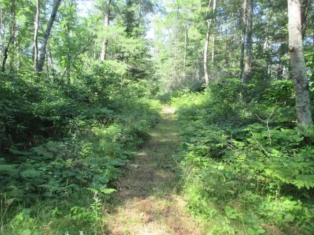 Photo 3 of Land for sale at Lot 2 State Road 27/70, Couderay, WI 54867 | MLS# 1591327 | Listing updated on 2026-06-23