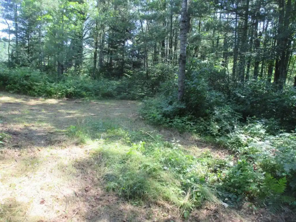 Photo 3 of Land for sale at Lot 2 State Rd 27/70, Couderay, WI 54867 | MLS# 1591327 | Listing updated on 2026-06-23