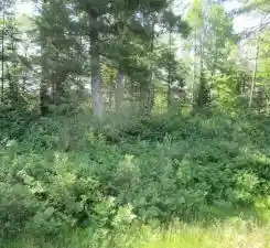 Photo 7 of Land for sale at Lot 2 State Road 27/70, Couderay, WI 54867 | MLS# 1591327 | Listing updated on 2026-06-23