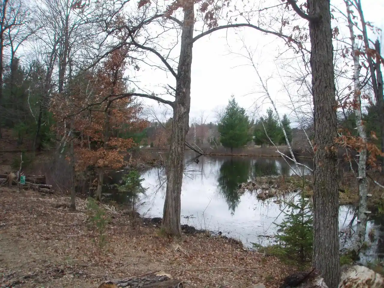 Homes for sale in Wisconsin Rapids, WI | Lot 15 Wood Duck Trail Trail, Wisconsin Rapids, WI 54494 | MLS# 22501854