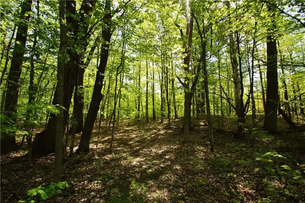 2nd image of N872 County Hwy Md, Sarona, WI 54870 | MLS# 1591746