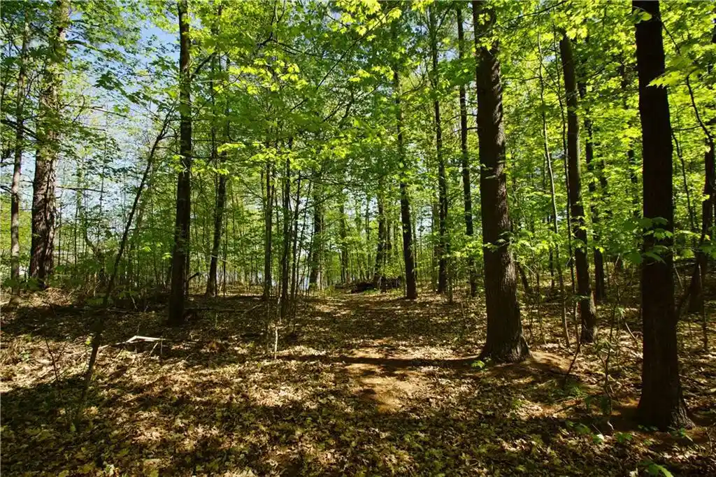 Photo 3 of Land for sale at N872 County Hwy Md, Sarona, WI 54870 | MLS# 1591746 | Listing updated on 2026-04-29