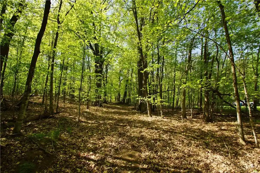 Photo 3 of Land for sale at N872 County Hwy Md, Sarona, WI 54870 | MLS# 1591746 | Listing updated on 2026-04-29