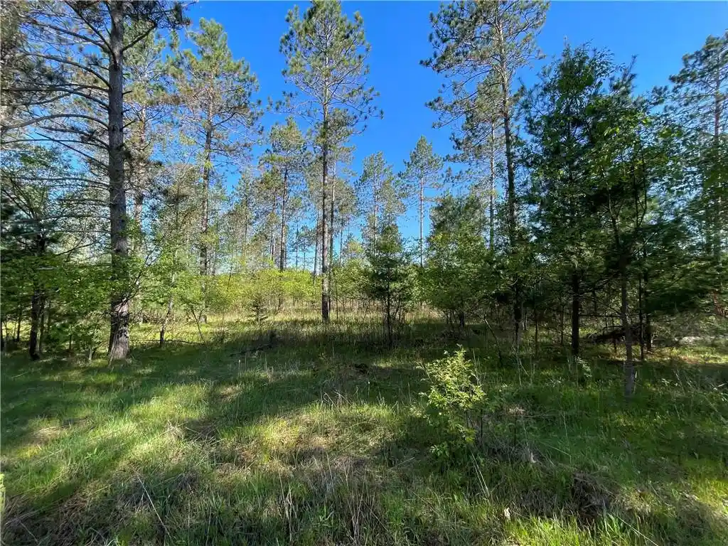 1st image of Lot 2 Elaine Dr Dr, Hayward, WI 54843 | MLS# 1591963