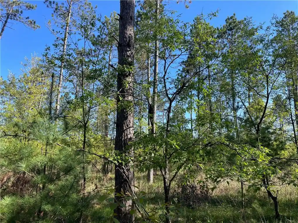 2nd image of Lot 2 Elaine Dr Dr, Hayward, WI 54843 | MLS# 1591963