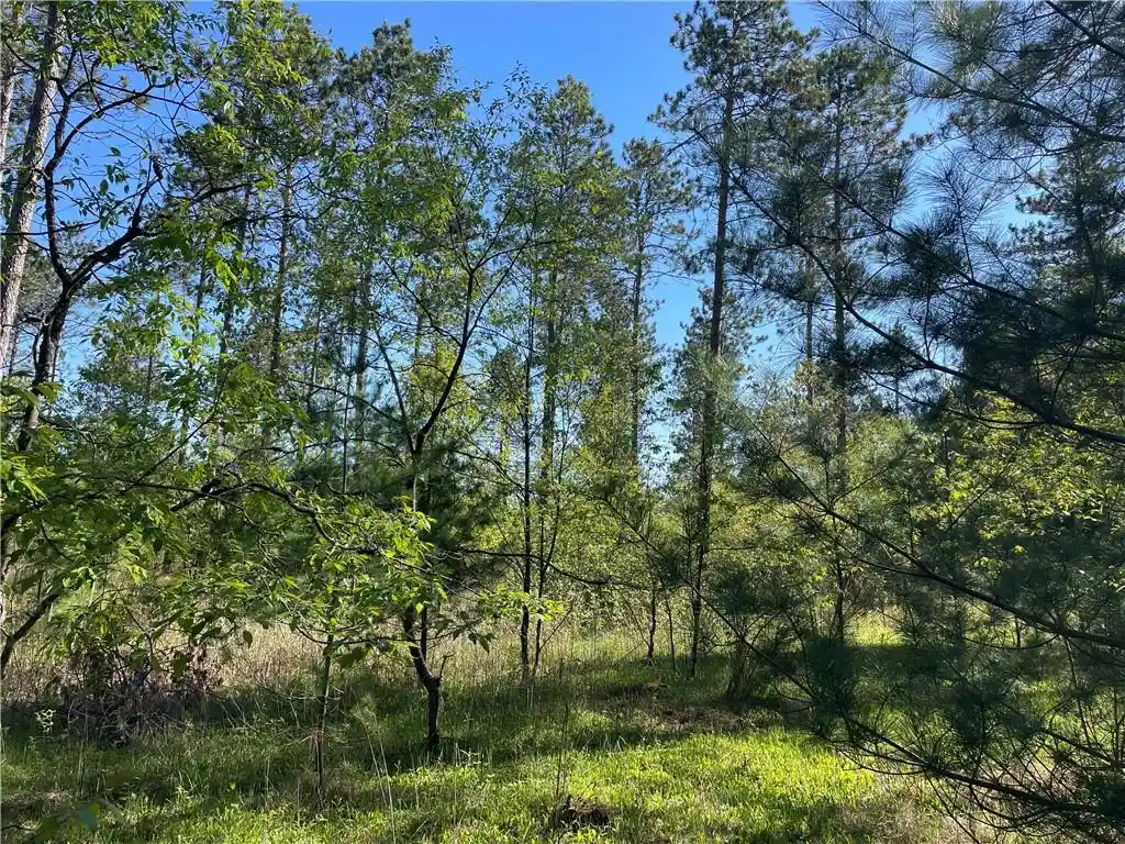 3rd image of Lot 2 Elaine Dr Dr, Hayward, WI 54843 | MLS# 1591963