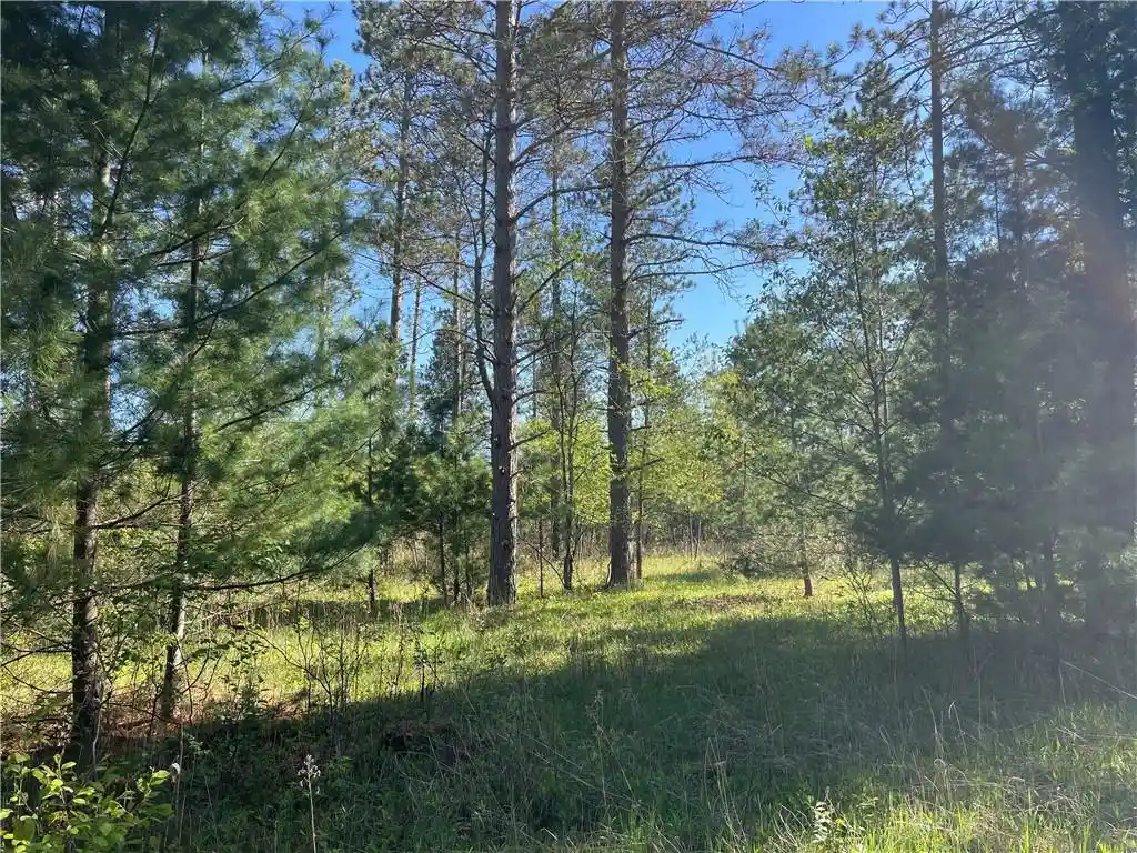 4th image of Lot 2 Elaine Dr Dr, Hayward, WI 54843 | MLS# 1591963