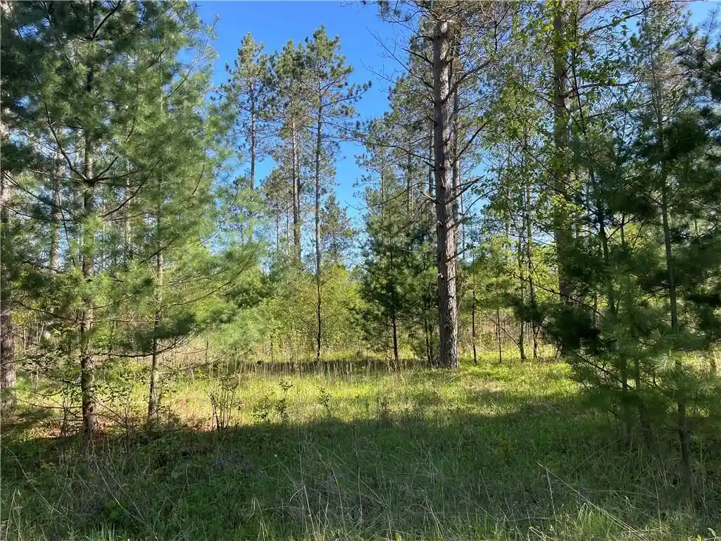5th image of Lot 2 Elaine Dr Dr, Hayward, WI 54843 | MLS# 1591963