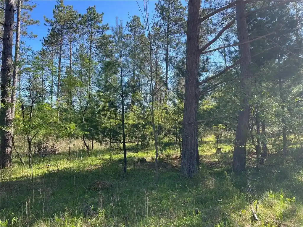 13th image of Lot 2 Elaine Dr Dr, Hayward, WI 54843 | MLS# 1591963