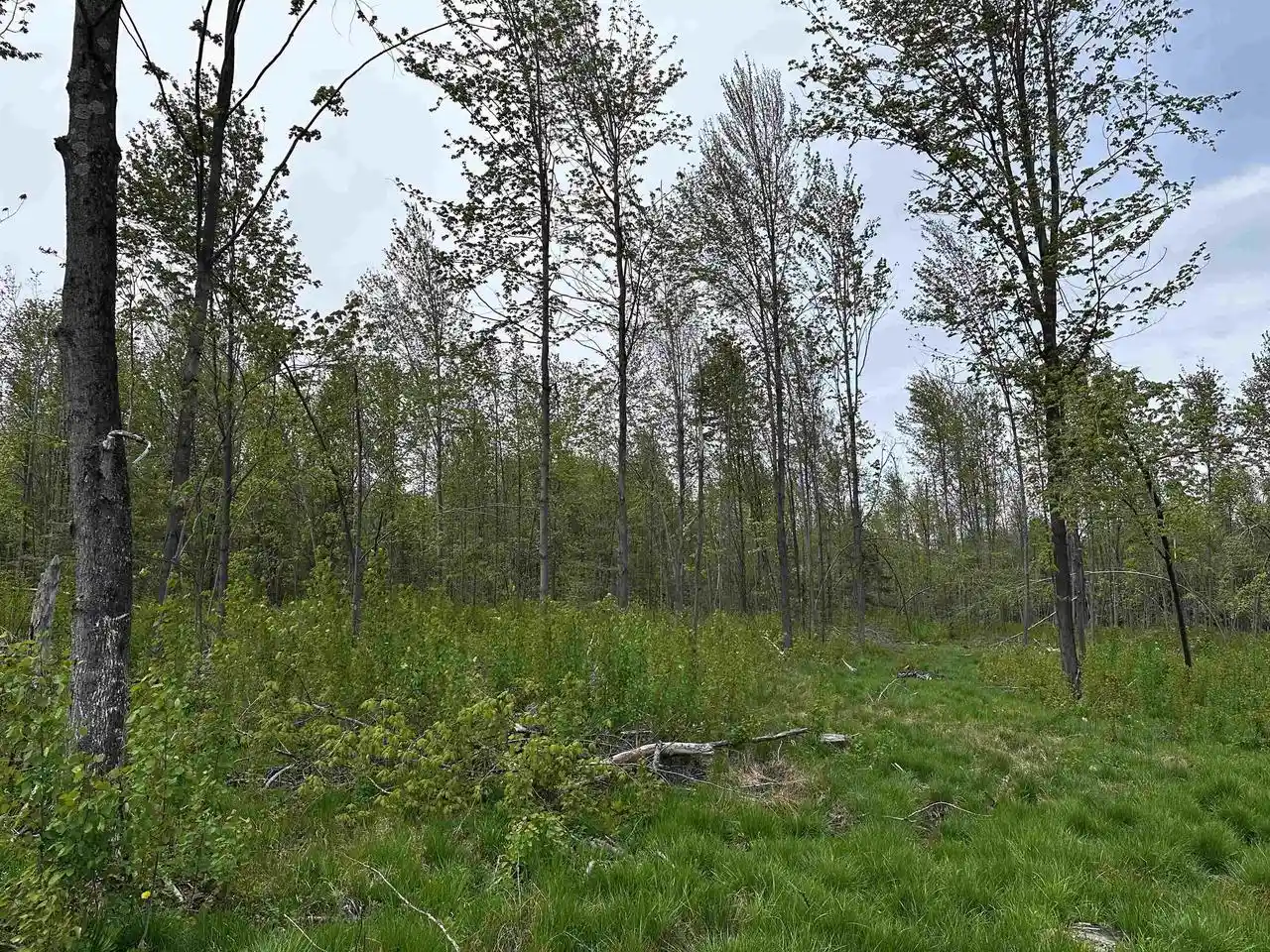 Homes for sale in Wausau, WI | 01 Granite Road Road, Wausau, WI 54403 | MLS# 22502223