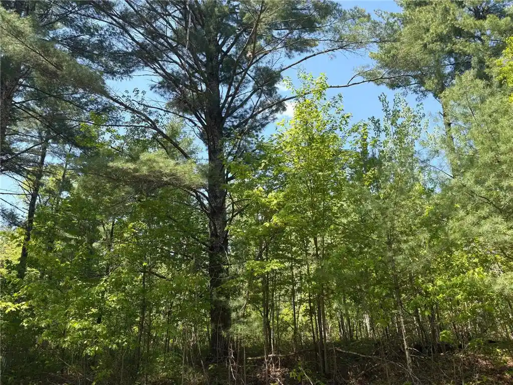 Land for sale at Xxxxx Eagle Dr, Danbury, WI 54830 | MLS# 6728511