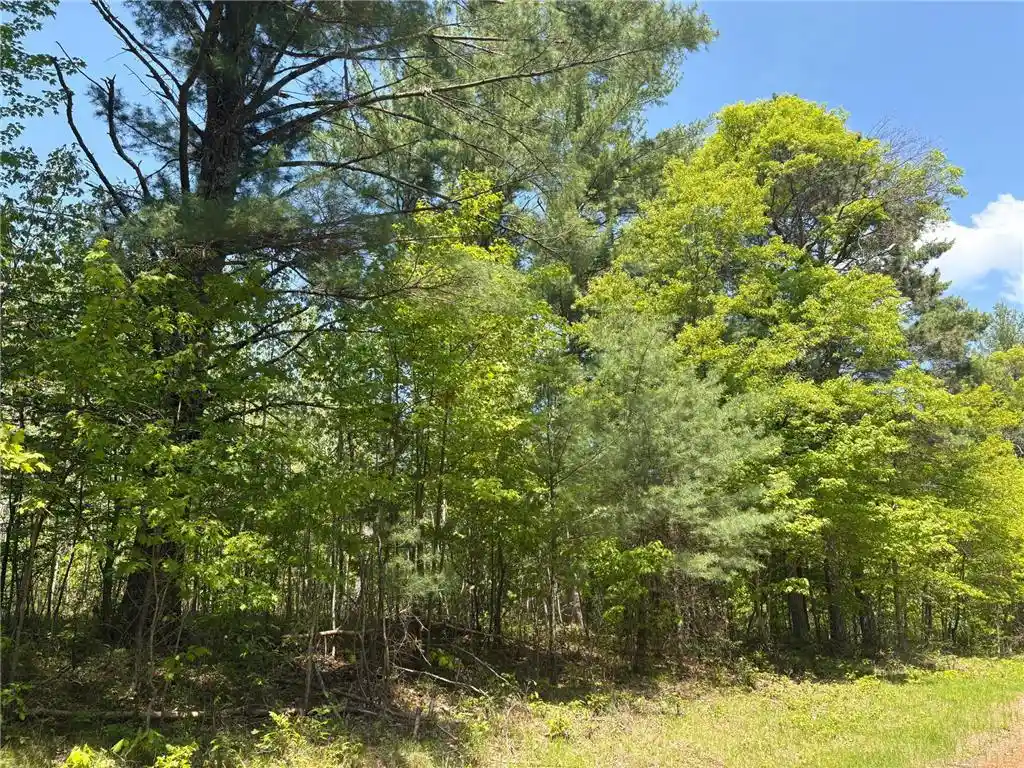 Photo 4 of Land for sale at Xxxxx Eagle Dr, Danbury, WI 54830 | MLS# 6728511 | Listing updated on 2026-09-16